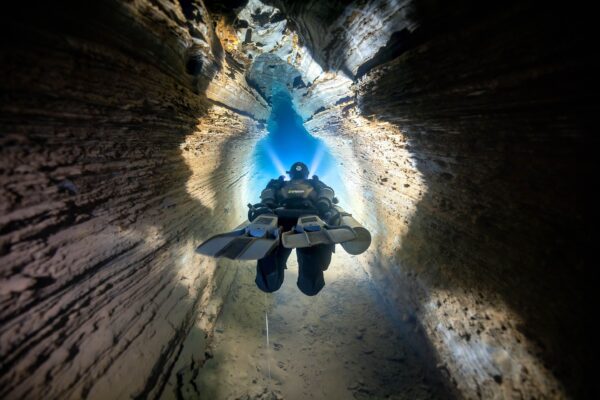 Seal in the Cave